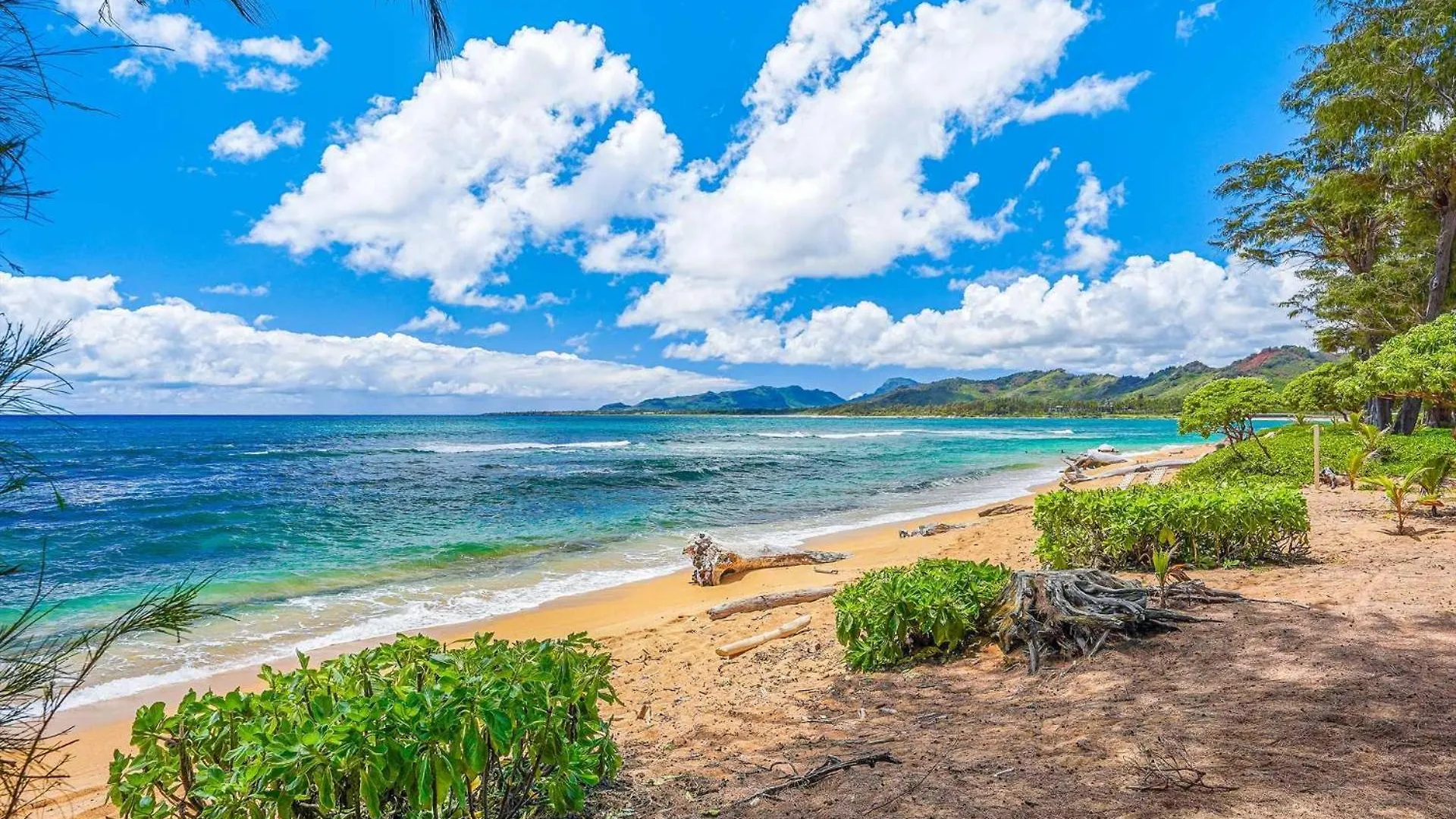 Islander On The Beach 323 Kapa'a 0*,  USA