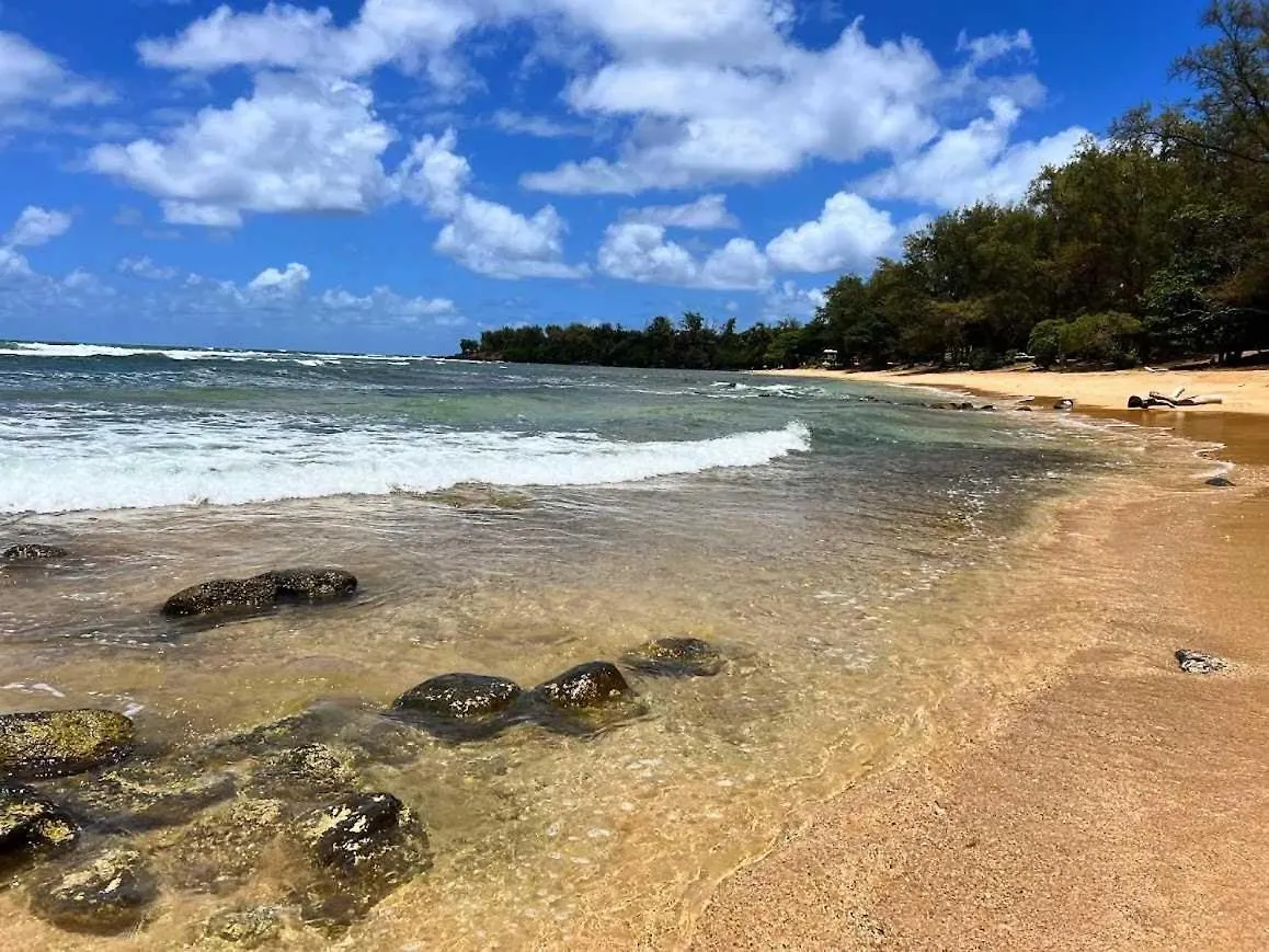 Islander On The Beach 323 Kapa'a
