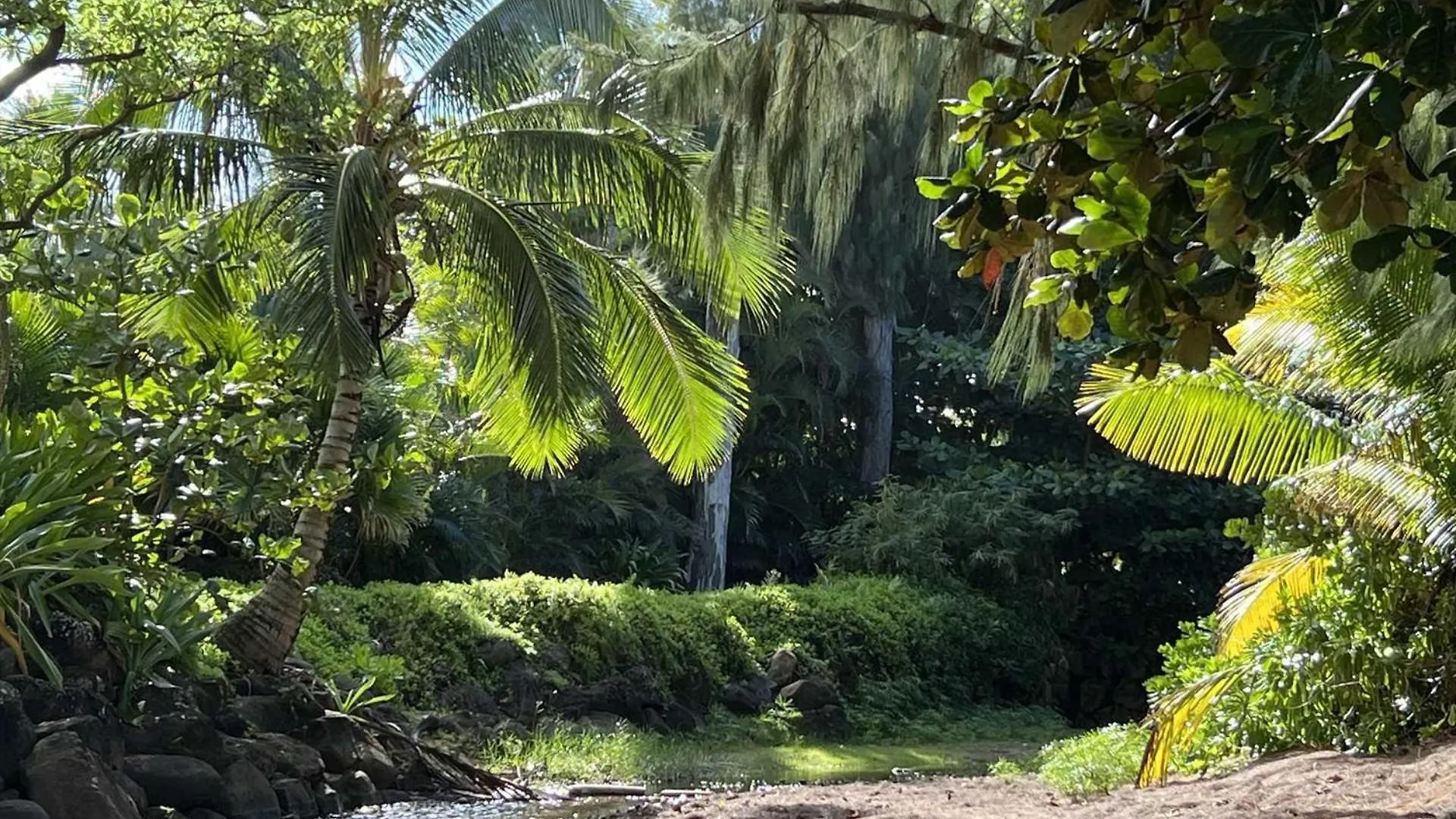 קאפה Islander On The Beach 323